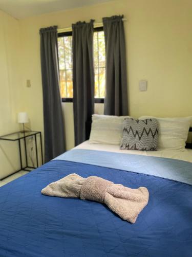 a bedroom with a bed with a blue blanket at Refugio Encantador in Santo Domingo