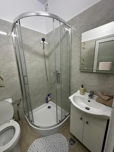 a bathroom with a shower and a toilet and a sink at Rosu Residence 2 in Onești