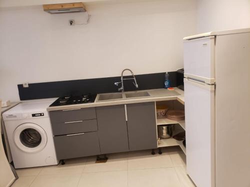 une cuisine avec un évier et une machine à laver dans l'établissement Appartement F2 à Thiers, à Thiers