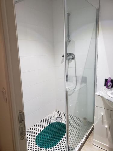 une douche avec une porte en verre et un tapis vert dans l'établissement Appartement F2 à Thiers, à Thiers