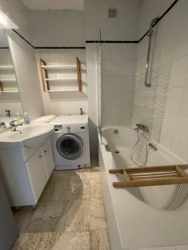 une salle de bain avec un lavabo et une machine à laver dans l'établissement Le Graouilly, à Metz