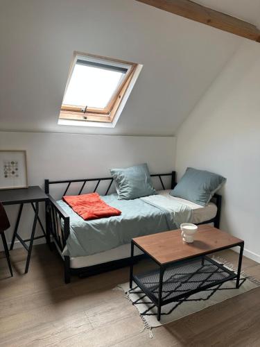 Charmante studette chez l'habitant