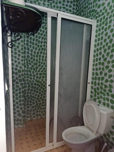 a bathroom with a toilet and a shower stall at hotel dar lalla khadouj in Chefchaouene