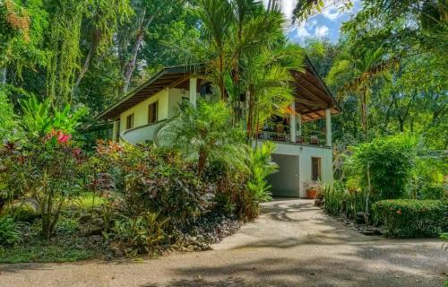 a house with a lot of trees and plants at Casa Selva in Dominicalito