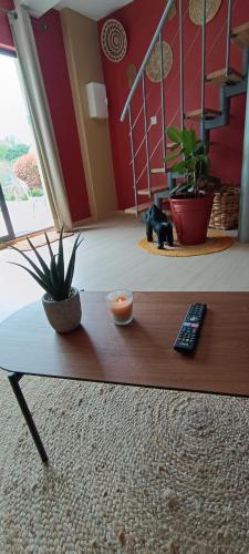 une télécommande posée sur une table basse avec une plante dans l'établissement Villa Fiorenza - Savana - Nature & Terroir, à Cosne-Cours-sur-Loire