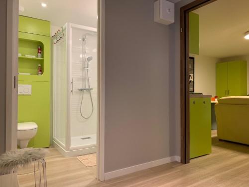 Beaumont-lès-ValenceMagnifique Studio dans Villa Contemporaine au Calme avec Piscine & Parking Privé à Beaumont les Valence & Montéléger的带淋浴、马桶和绿色橱柜的浴室