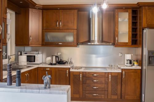 a kitchen with wooden cabinets and a refrigerator at Anastasia Meteora Residence in Kalabaka