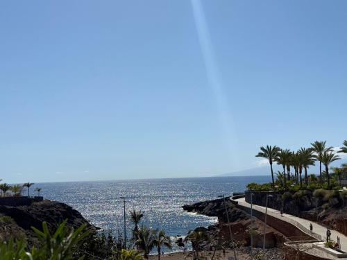 a view of a beach with palm trees and the ocean at CasaMaria in Playa Paraiso