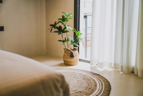 a bedroom with a potted plant next to a window at Viento Luxury Apartments in Plomarion