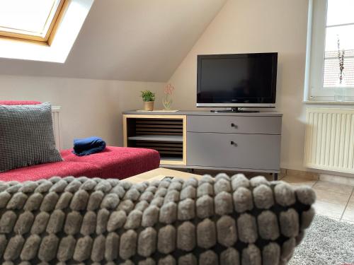 a living room with a couch and a tv at Mein Nordlicht in Südbrookmerland
