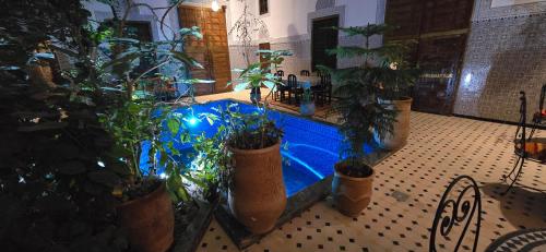 Dārzs pie naktsmītnes Riad Raffaa