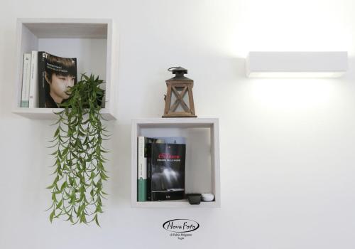 a shelf with books and a plant on a wall at La Casetta in Tuglie