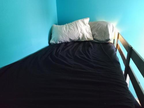 a bed with two pillows on top of it at Charming Bohemian Rental in Philadelphia