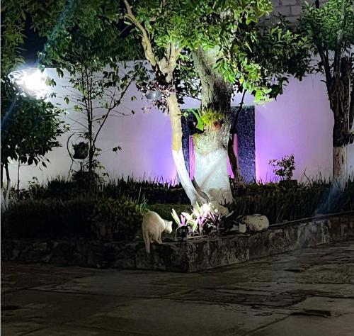 Jardín al aire libre en Casa Don Beni