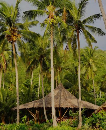 a straw hut in front of palm trees at Eco Sanctuaries Nature Lodge Nacpan Beach, El Nido in El Nido