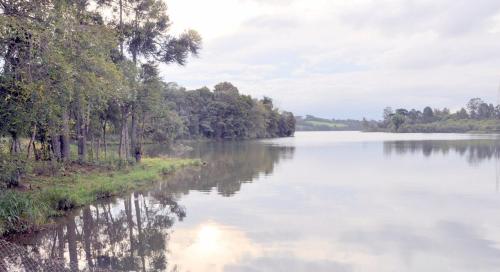 a river with trees on the side of it at Chácara Passaúna in Curitiba