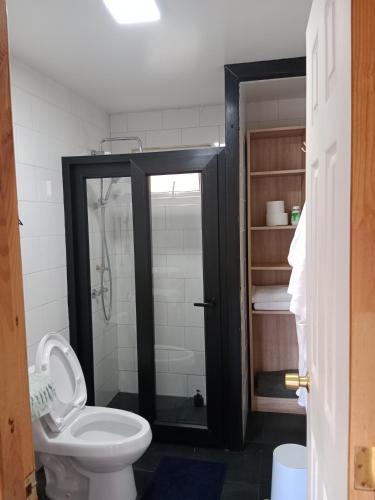 a bathroom with a white toilet and a shower at Cabaña con Tinaja Privada Ruta 657 in Coihaique