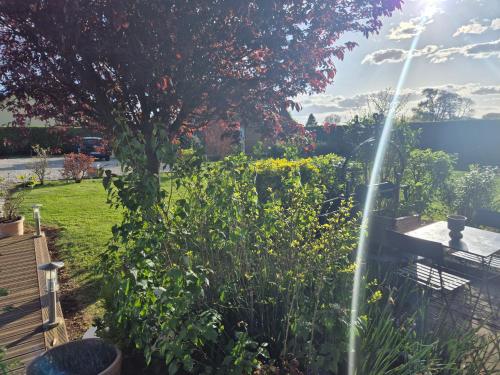 En have udenfor Oasis Entre Terre et Mer