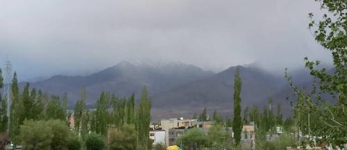 a mountain in the distance with houses and trees at Arctic Villa in Leh
