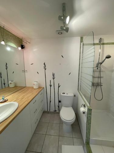 une salle de bain avec toilettes, lavabo et miroir dans l'établissement Maison de Charme Provençale, à Saint-Victor-la-Coste