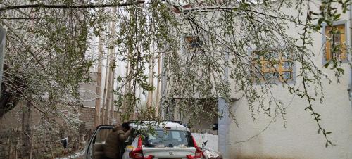 a man standing next to a car parked under a tree at Arctic Villa in Leh