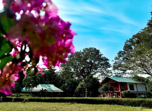 a house with a pink flower in the foreground at Villa de hollong in Mādāri Hāt