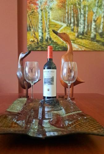 Garnacha Tinta VT-LR-2179