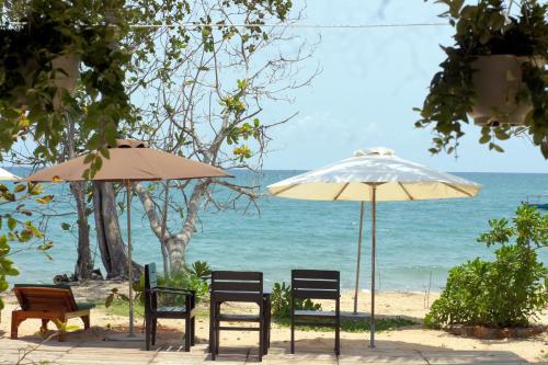 a group of chairs and umbrellas on the beach at Gold Sand Beach Bungalow in Phu Quoc