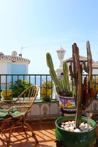 eine Gruppe von Kakteen in Töpfen auf einem Balkon in der Unterkunft Charmigt hus med bästa läge i Torrox Costa in Torrox Costa