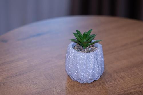 a small plant sitting on top of a wooden table at 4R Colombo Hotel in Tirana