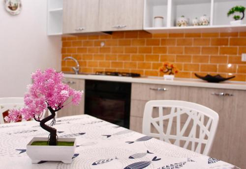 Gallery image of Blu Mare in Marina di Camerota