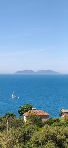 Pinwheel Hostel Vlora & Rooftop Bar