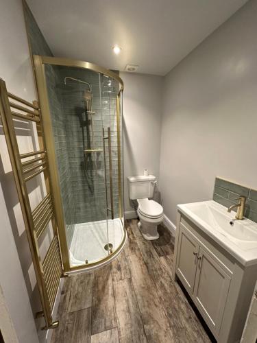 a bathroom with a shower and a toilet and a sink at Black Horse in Brent Pelham