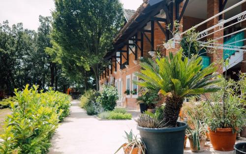 a group of plants in front of a building at Zornića Kuća in Ba°evac