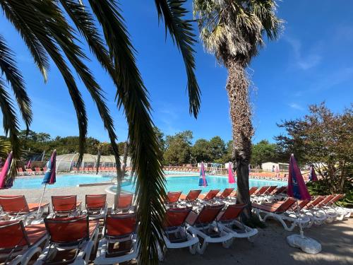 - un groupe de chaises et un palmier en face d'une piscine dans l'établissement La Cabane, à Claouey