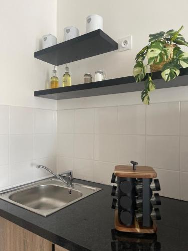 une cuisine avec un évier et une plante sur un comptoir dans l'établissement Cocon Paris Stade de France, à Pierrefitte-sur-Seine