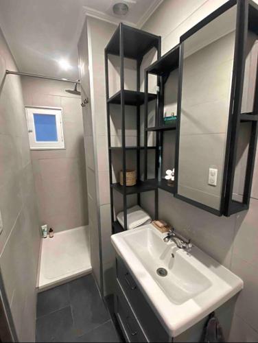 une petite salle de bain avec un lavabo et un miroir dans l'établissement Nice centre studio rénové avec emplacement central, à Nice