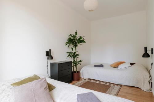 a bedroom with two beds and a potted plant at Apartment for friends & families in Tallinn