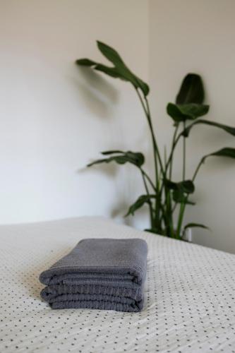 a towel sitting on a table next to a plant at Apartment for friends & families in Tallinn