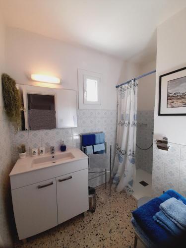 une salle de bain avec un lavabo et une douche dans l'établissement GITE des VERGIERS, à Murs