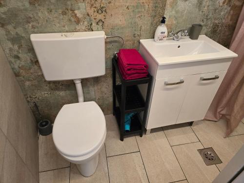 a bathroom with a white toilet and a sink at Entrata Pirano in Piran