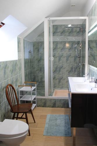 une salle de bain avec toilettes, un lavabo et une douche dans l'établissement Le Clos de Penguily Brocéliande 16 couchages SPA, à Mauron