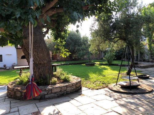 a swing hanging from a tree in a yard at Small Pool Villa at Marathon Greece in Marathón