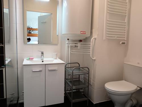 une salle de bain blanche avec un lavabo et des toilettes dans l'établissement Cook appartement, à Étel