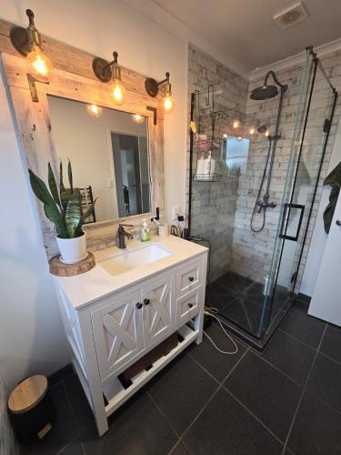 a bathroom with a sink and a shower at Bethlehem Home, plus Self Contained Apartment in Tauranga