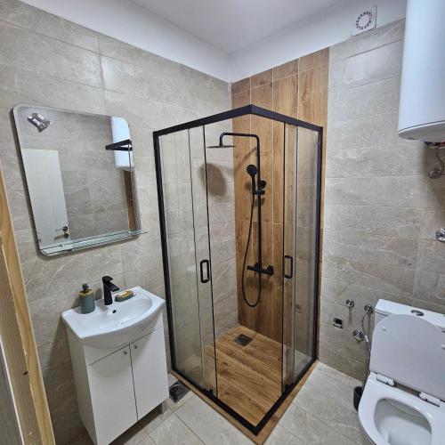 a bathroom with a shower and a toilet and a sink at InesAna in Kotor