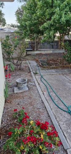 a garden with red flowers and a water hose at Private room for couple in Esperance in Esperance