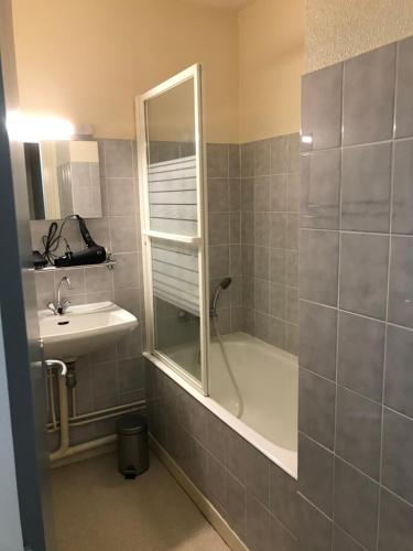 une salle de bain avec douche et lavabo dans l'établissement Locations de la cascade 4 personnes, à Besse-et-Saint-Anastaise
