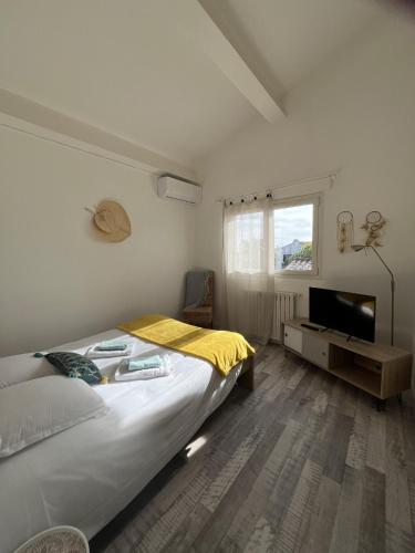 a bedroom with a bed and a flat screen tv at L Abri-côtier Appartements in Saintes-Maries-de-la-Mer