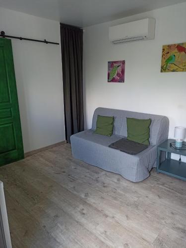 - un salon avec un canapé et 2 oreillers verts dans l'établissement le studio, à Roquemaure
